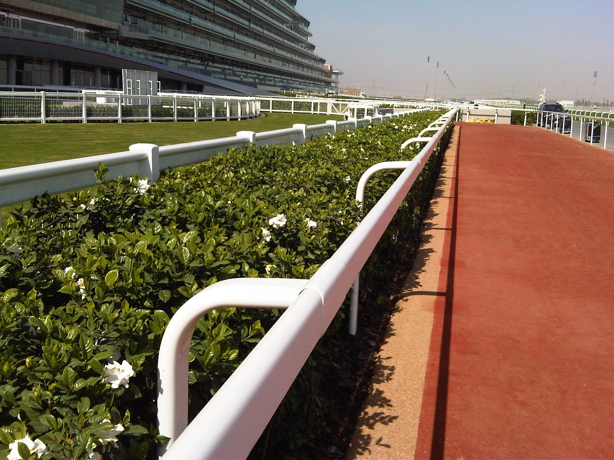 Meydan2