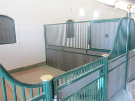 al-wathba-stable