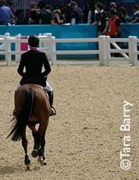 horse in arena for London 2012